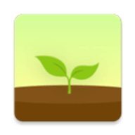 forest专注森林官方版