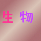 初中生作文大全600字软件