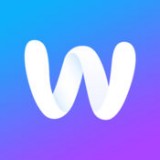 Well软件