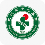 武汉市人民政府软件