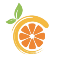 Citron模拟器