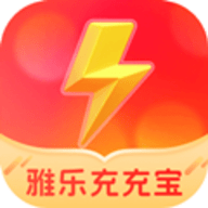 雅乐充充宝
