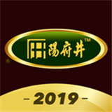 阳府井软件