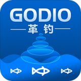 GoDap软件