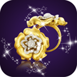 中国珠宝玉器软件