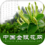 中国金币验证软件