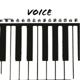 Voice键盘软件