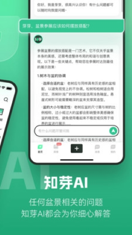 知芽盆栽