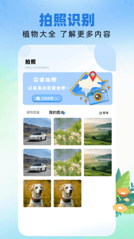 TopMobile