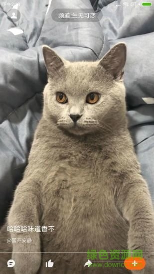 哈萌视频app下载