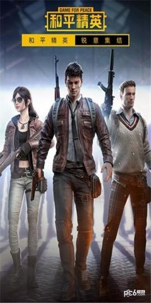 和平精英报点代码