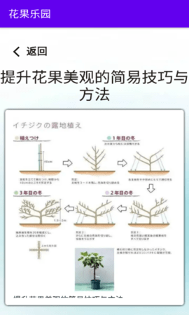 花果乐园