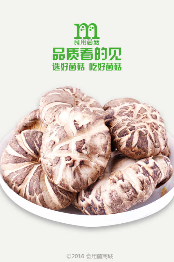 食用菌商城网软件