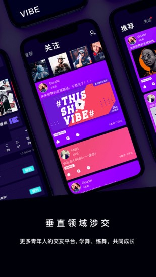 VIBESIX软件