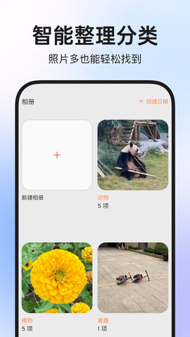 图公主