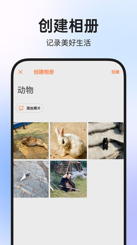 图公主