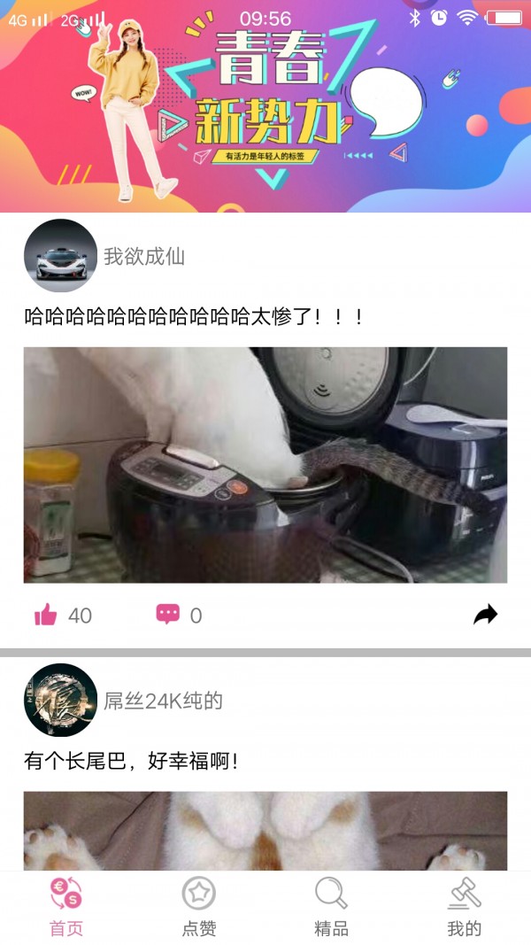 空间人气专家软件