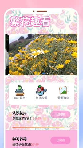 繁花看看