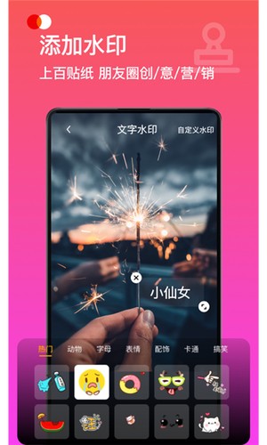视频去水印加水印软件