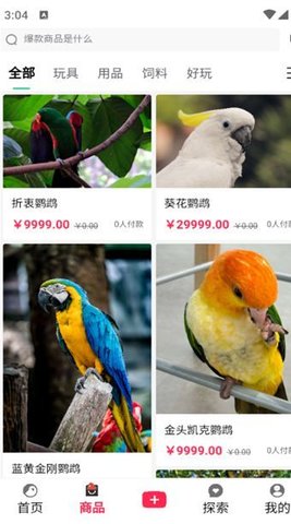 爱鸟仁