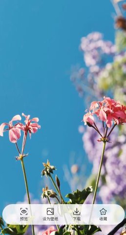桌面每日壁纸