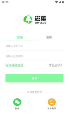 崧菓