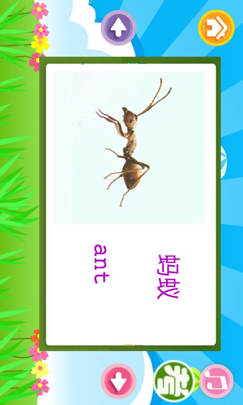 儿童英语早教软件