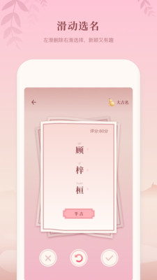 八字起名大师软件