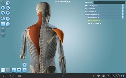 Anatomy VR Lab软件