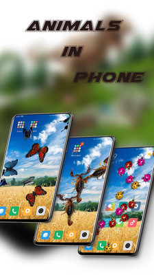 Firefox Aurora软件