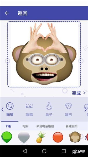 Selfix软件