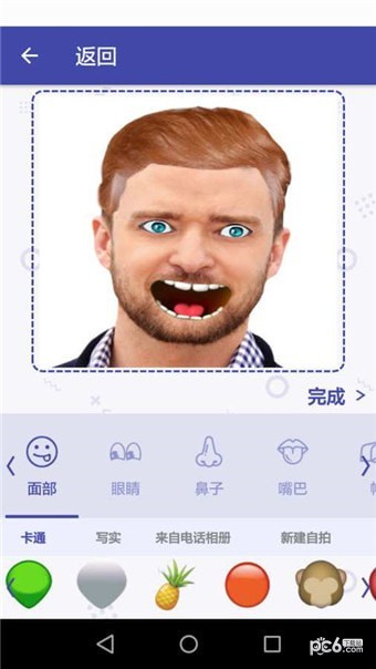 Selfix软件