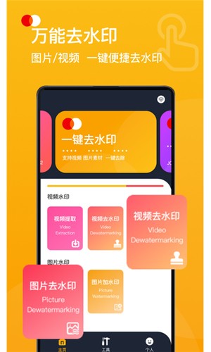 视频去水印Pro软件