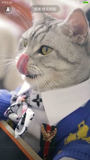 哈萌视频