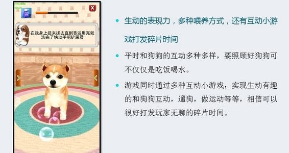 奔跑吧小狗手游