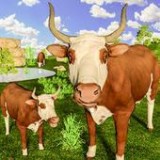 愤怒公牛3d手游
