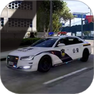 警察缉私巡查3D手游