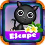Halloween Black Cat Escape手游