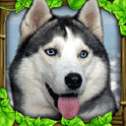 Stray Dog Sim手游