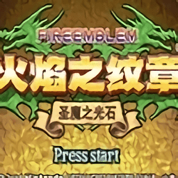 悟饭-火焰纹章 黑暗无双手游