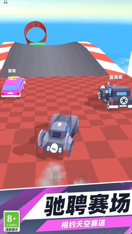 赛车能手