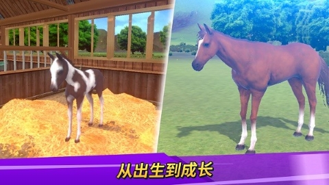 德比生活无限金币版手游