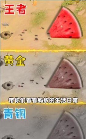 蚁族崛起钻石版手游
