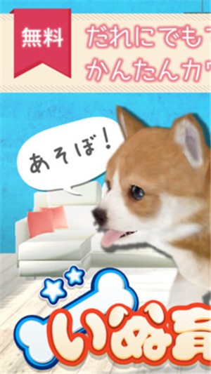 幸福的坟墓手游