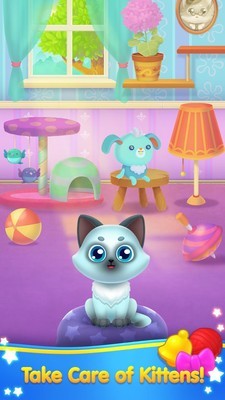 猫咪消方块手游