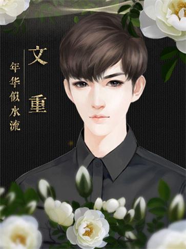 年华似水流手游