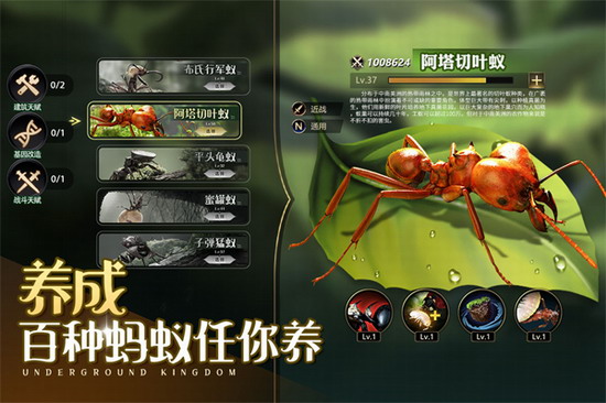 小小蚁国单机版手游