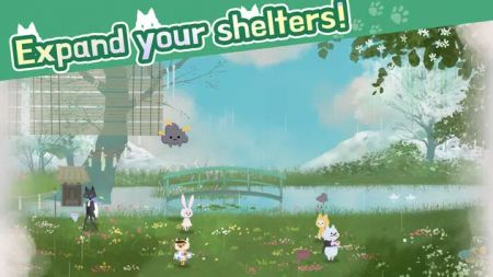 CatShelter手游
