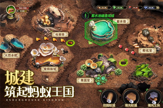 小小蚁国单机版手游