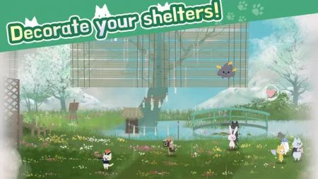CatShelter手游